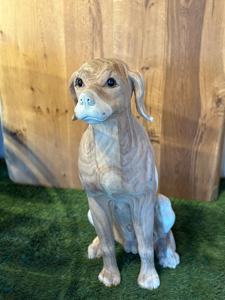 Hund