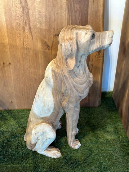 Hund
