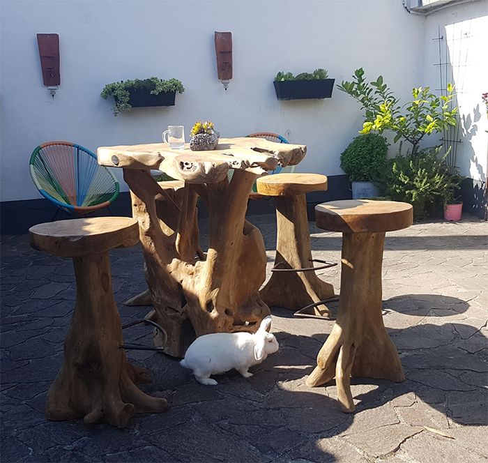 Wurzel Bartisch